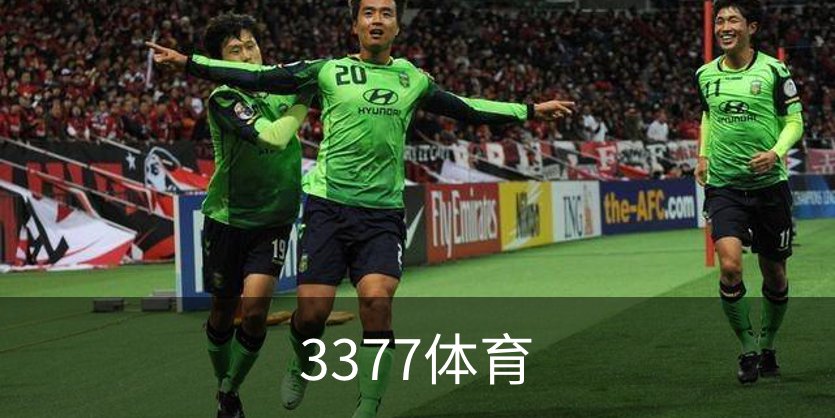 3377体育品牌故事